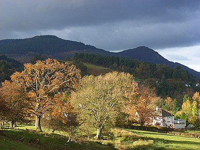 Derwent